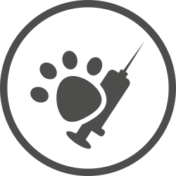 Veterinaria
